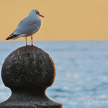 Rocca Terrace * ガルダ