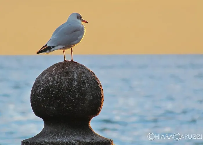 Rocca Terrace * Garda (Verona)